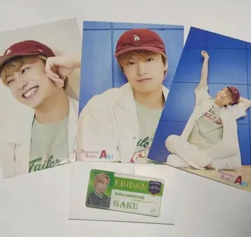 EBiDAN 스포츠맨 힙 Sakurashimeji 다나카 마사노리 4세트