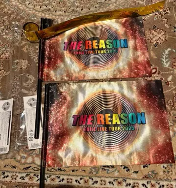 EXILE LIVE TOUR 2025 THE REASON 플래그