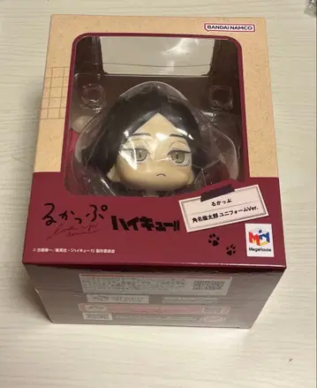 하이큐!! 스나 린타로 룩업