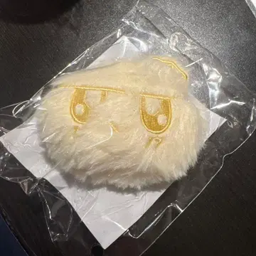 SEVENTEEN NEW_ 굿즈 봉봉이 키링 나고야