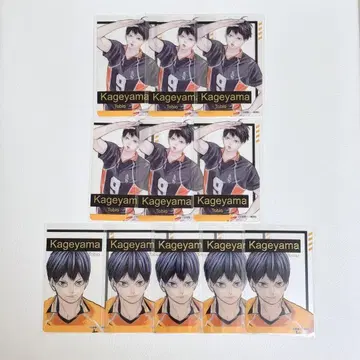 하이큐 팬파크 클리어 카드 카게야마