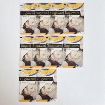 하이큐 팬파크 클리어 카드 스가와라