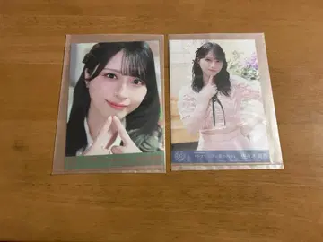 이코러브 사사키 마이카 봉입