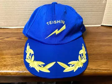 레어 TEISHIN 테이신 시큐리티 모자 현 상태