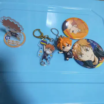히나타 쇼요 아크릴 스탠드 키링 캔뱃지 세트