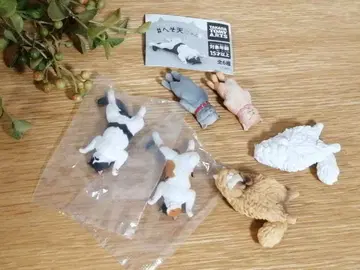 배꼽 하늘 고양이 전 6종 컴플리트