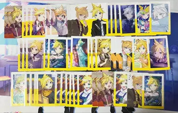 프로세카 쿄코 렌 에피카 묶음 판매