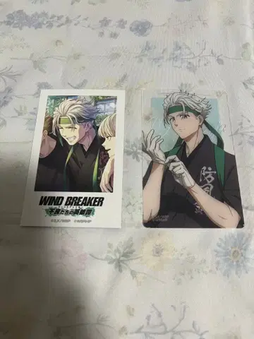 wind breaker 윈히로 불량들의 영웅담 사진풍 카드 우메미야
