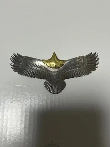 실버 925 중 이글