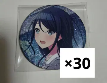 프로세카 이치카 17A 캔뱃지