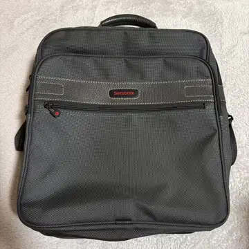 Samsonite 삼소나이트 숄더백 그레이