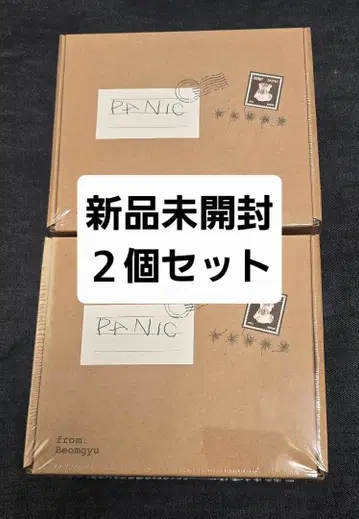 TOMORROW X TOGETHER 범규 mixtape panic 2개