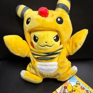 전룡 매니아인 피카츄 봉제 인형