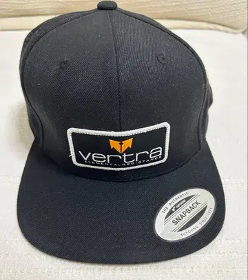 Vertra ELEMENTAL RESISTANCE Yupoong 제작 캡