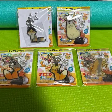 하이큐 애니멀 참 이나리자키 키타 스나 미야 아츠무 미야 오사무 시크릿