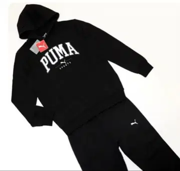 푸마 PUMA 맨투맨 후드티 팬츠 상하의 세트 저지 남성용