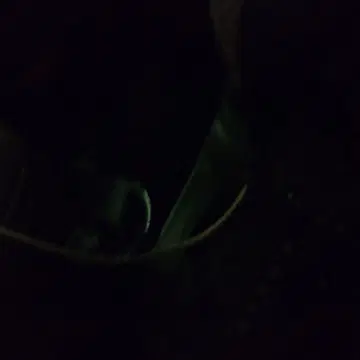 블랙 T셔츠 면100%