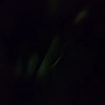 알 수 없는 상품