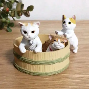 고양이 3마리 다카하시 씨 댁의 통고양이와 땃치코네코