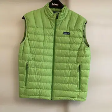 patagonia 다운 베스트 그린