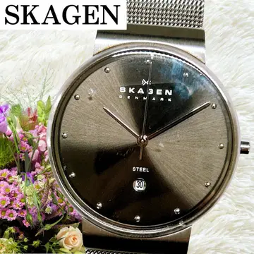 작동 스카겐 SKAGEN 손목시계 데이트 y2k 00s 355