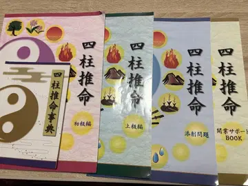 캐리카레 사주 점술