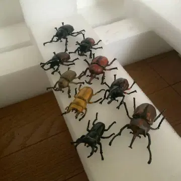 장수풍뎅이 피규어 세트