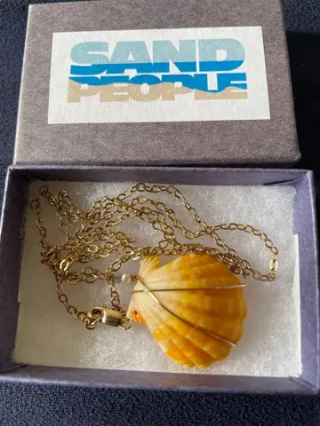 선라이즈 하와이안 조개