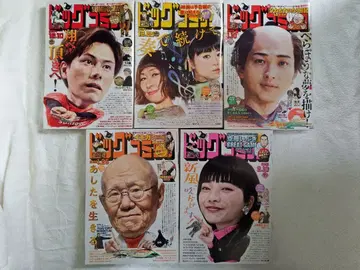 빅 코믹 15권 복수호 세트