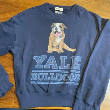 [ beams 별주 ] THE BOOKSTORE / YALE 맨투맨