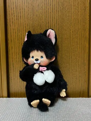 초초레어 몽치치 검은 고양이