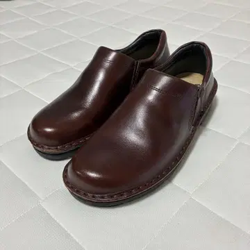 [ 새상품급 ] NAOT CLARA 클라라 37 버팔로