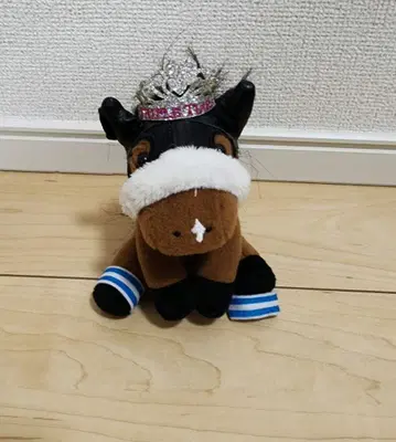 아몬드 아이 티아라 부착 봉제 인형 아이돌 호스 셀렉션