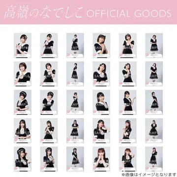 타카네노 나데시코 안티 팬 브로마이드