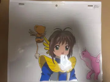 카드캡터 사쿠라 애니메이션 셀화