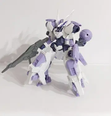 HG 베기르베우토르슈 정크제품