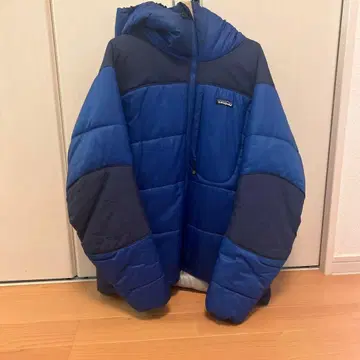 Patagonia 다운