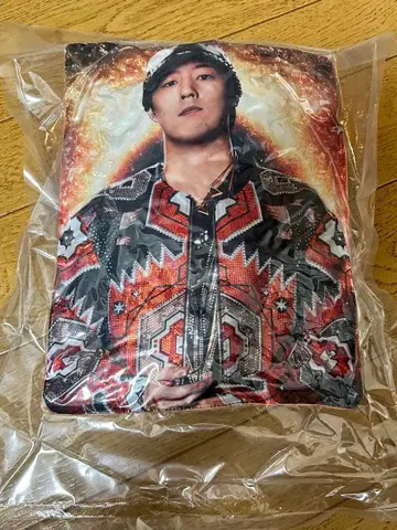 EXILE THE REASON 세계 가챠 쿠션