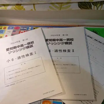 아이치현 중고일관교 챌린지 모의시험 초6 적성검사 제1회 2024년도