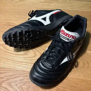 모렐리아 TF (블랙) 26cm