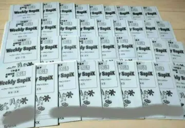 사피 토특 국어