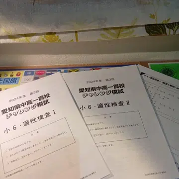 아이치현 중고일관교 챌린지 모의시험 초6 적성검사 제3회 2024학년도