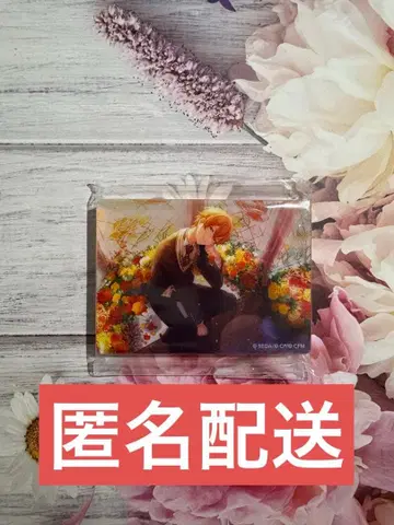 프로세카 아키토 준브라이드