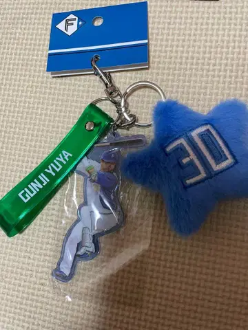 군지 유야 키링