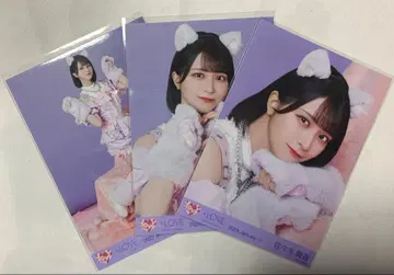 사사키 마이카 브로마이드 컴프