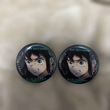 귀멸의 칼날 무언가를 말하는 눈빛 컬렉션 캔뱃지B 토키토 무이치로