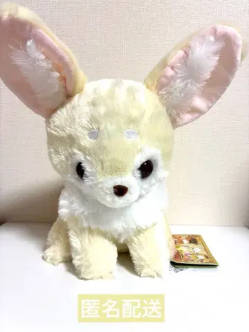 춋콘과 여우 아카짱 봉제 인형 호론