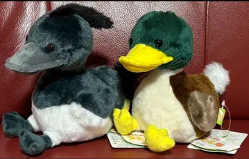 오리 부대 즐거울지도 ST 사이즈 봉제 인형 마스코트 2개 세트 1