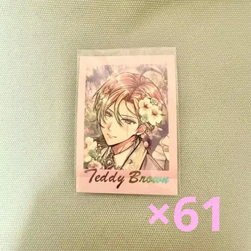 악마고양이 테디 파샤코레 PREMIUM