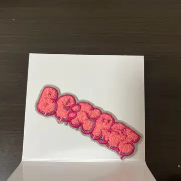 BE:FIRST Hello My BESTY 시크릿 모코모코 자수 스티커